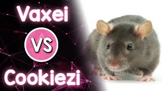 🇺🇸 Vaxei vs Cookiezi 🇰🇷 Jerma  Rats Birthday Mixtape mithew We Are the Rats [upl. by Nedrud]