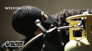 Making Weed Concentrates in an Underground Lab  WEEDIQUETTE [upl. by Merle]