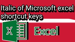 Italic of Microsoft excel  Italic microsoft excel  ms excel  the fast enter [upl. by Yonit]