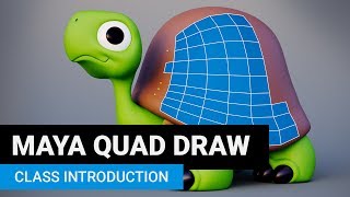 Maya Quad Draw Page Overview [upl. by Ditter]