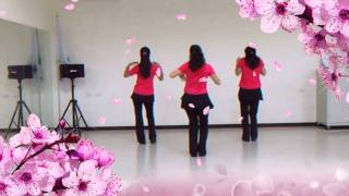 Hawaiian Hukilau line dance [upl. by Anwadal94]