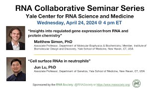 RNA Collaborative Seminar  Yale Center for RNA Science amp Medicine April 24 2024 [upl. by Ynatterb774]