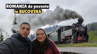 Am fost cu Mocănița HUȚULCA prin Moldovița  Muzeul Ouălor quotLucia Condreaquot  Bucovina [upl. by Janos890]