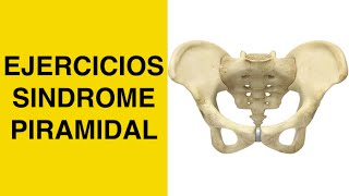 Sindrome Piramidal  Piriforme  Estiramiento Piramidal y Pinzamiento del Nervio Ciatico  Ciatica [upl. by Fatima156]