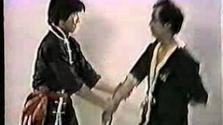 Wing Tsun Chun Leung Ting Authentic Wing Tsun 2 [upl. by Llenet277]