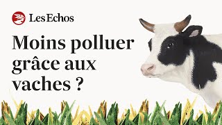 Et si les vaches pouvaient sauver la planète  🐮 [upl. by Suivart]