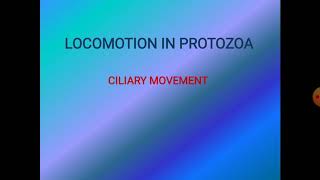 Locomotion in Protozoa  Ciliary movement [upl. by Gonzales723]