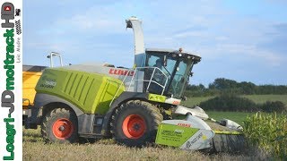 Claas Jaguar amp Direct Disc  Ensilage de Céréales Immatures  ETA Didelot [upl. by Aid]