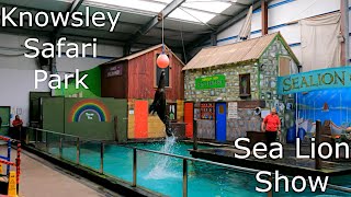 FULL SEA LION SHOW at Knowsley Safari Park [upl. by Raamaj283]