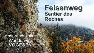 Felsenweg Sentier des Roches  einer der anspruchsvollsten Wanderwege in den Vogesen 4K [upl. by Eben]