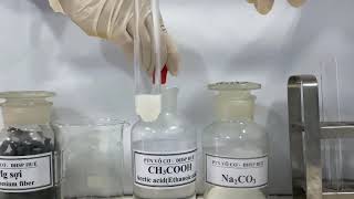 Thí nghiệm acetic acid phản ứng với Na2CO3  Bài 19  Hoá học 11  Chân trời sáng tạo [upl. by Rawlinson183]