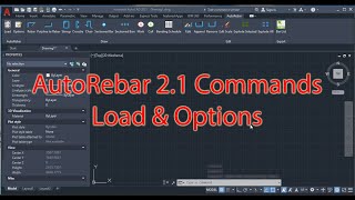 AutoRebar 21  Load and Options [upl. by Hadeehsar176]