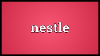 Nestle Meaning [upl. by Ydurt]