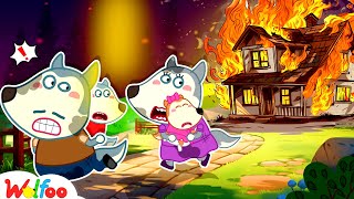 Run Wolfoo House is Burning  Wolfoo Learns Safety Tips  Fire Safety Cartoon  Wolfoo Family [upl. by Bendick381]