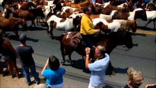 Chincoteague Pony Penning 2014 [upl. by Rodablas]