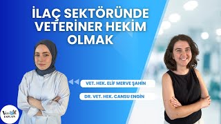 Veteriner Hekimliği Sektörleri  İlaç Sektöründe Veteriner Hekim Olmak [upl. by Adnawal]