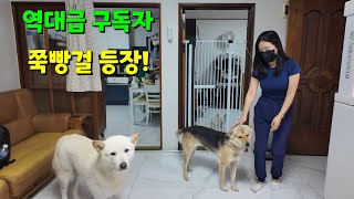 후원열혈2위 여성 구독자 쭉방걸쏭님 방문기 [upl. by Kavita490]