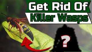 How to Get Rid of Cicada Killer Wasps 💀  Top 5 Methods [upl. by Cheshire]