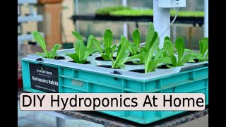 DIY Hydroponics At Home [upl. by Ecenaj954]