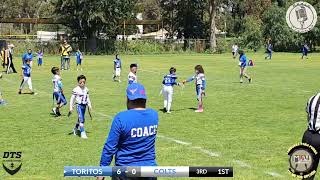 TORITOS TEXCOCO VS COLTS CATEGORIA ZORROS [upl. by Uokes]