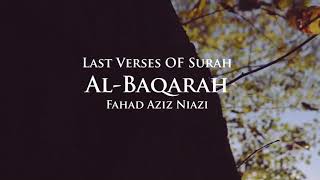 Last 2 VersesAyaat Surah AlBaqarah  Fahad Aziz Niazi أواخر سورة البقرة  ‏ فهد عزيز نيازي ￼￼￼￼￼ [upl. by Itnahsa]