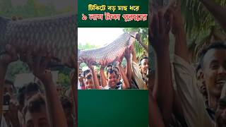 ১৯ কেজি ওজনের ব্ল্যাক কার্প ধরে পুরস্কার জিতেছেন মৎস শিকারী shorts fishingvideo shortfeed [upl. by Hahcim387]