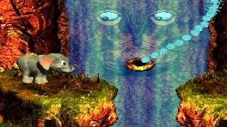 Donkey Kong Country 3  100 Walkthrough  Part 3 CottonTop Cove [upl. by Doty]