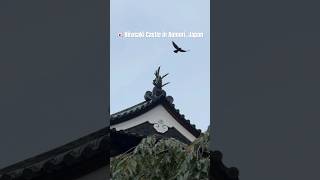 MustVisit Places in Japan Before You Die Hirosaki Castle Aomori Prefecture [upl. by Rhee]