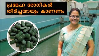 Spirulina Cultivation  ManufacturingTraining and Marketing MALAYALAM With English subtitles [upl. by Ynattib389]