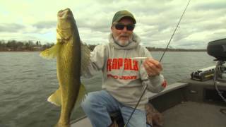 Rapala® Scatter Rap® Minnow [upl. by Assin]