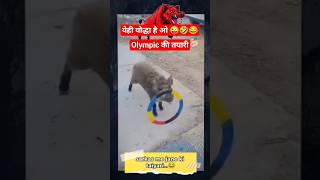 यही ओ योद्धा है😂🤣ईसे काही देखा हैolympik की तैयारीहासो मत भाईFull Comedy [upl. by Kannav215]