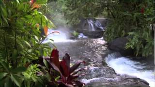 Discover Costa Rica [upl. by Ahsimat]