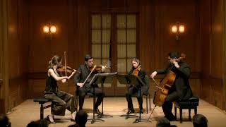 Vera Quartet HAYDN — Quartet in G major Op 76 No 1 [upl. by Cobbie]