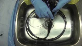 Flexible Endoscope Reprocessing  Manual Cleaning [upl. by Harbot599]