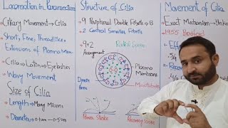 Ch 16 Lec 21 Locomotion in Paramecium Class 12 Biology [upl. by Enitsenre630]