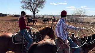 Reno Bowie Livestock Sale [upl. by Niajneb]