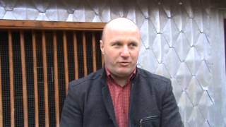 Oprea Florentin UCPR Dambovita prezentare porumbei campioni 22 nov 2014 part 1 [upl. by Eiryt]