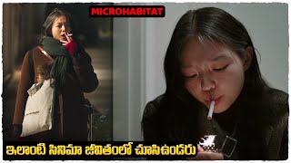 Microhabitat Movie explained in telugu  Voice Of Naveen [upl. by Nylak]