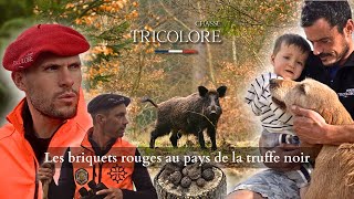 Saison chasse 2024  Chasse au sanglier dans le lot au pays de la truffe [upl. by Daniela]