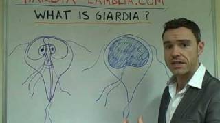 What Are Giardia Lamblia amp Giardiasis [upl. by Radferd]