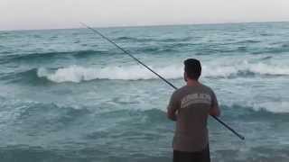 Surfcasting Dorada solitaria al atardecer [upl. by Eward373]