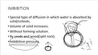 Imbibation process [upl. by Ralston674]