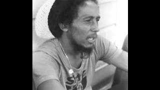 Bob Marley  Rastaman Live Up Dont Give Up Black Ark Mix [upl. by Schoenberg]