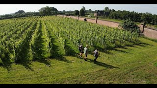 Liemers Posbank Wandeltocht 4k [upl. by Mitzi231]