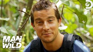 Bear Grylls Reveals His Best Jungle Survival Tips  Man vs Wild  Discovery [upl. by Kerril]