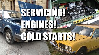 Triumph Acclaim oil change  Dolomite engine update [upl. by Stuckey]