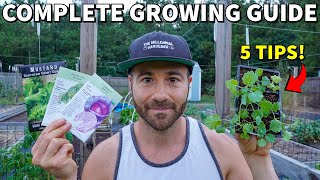 5 Tips For Growing BRASSICAS Grow BETTER Broccoli Kale Cabbage amp More [upl. by Joelie]