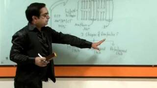 Nerve Impulse TransmissionDr Sachin Kapur [upl. by Etteniotnna]