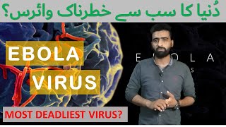 EBOLA VIRUS Most Deadliest  Transmission Symptoms Discovery Prevention [upl. by Onej718]