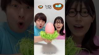 Colding VS bird nest which is better amazingfacts facts [upl. by Warde]